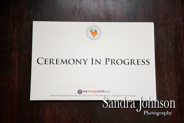 Best Orlando Wedding photographer - Sandra Johnson (SJFoto.com)